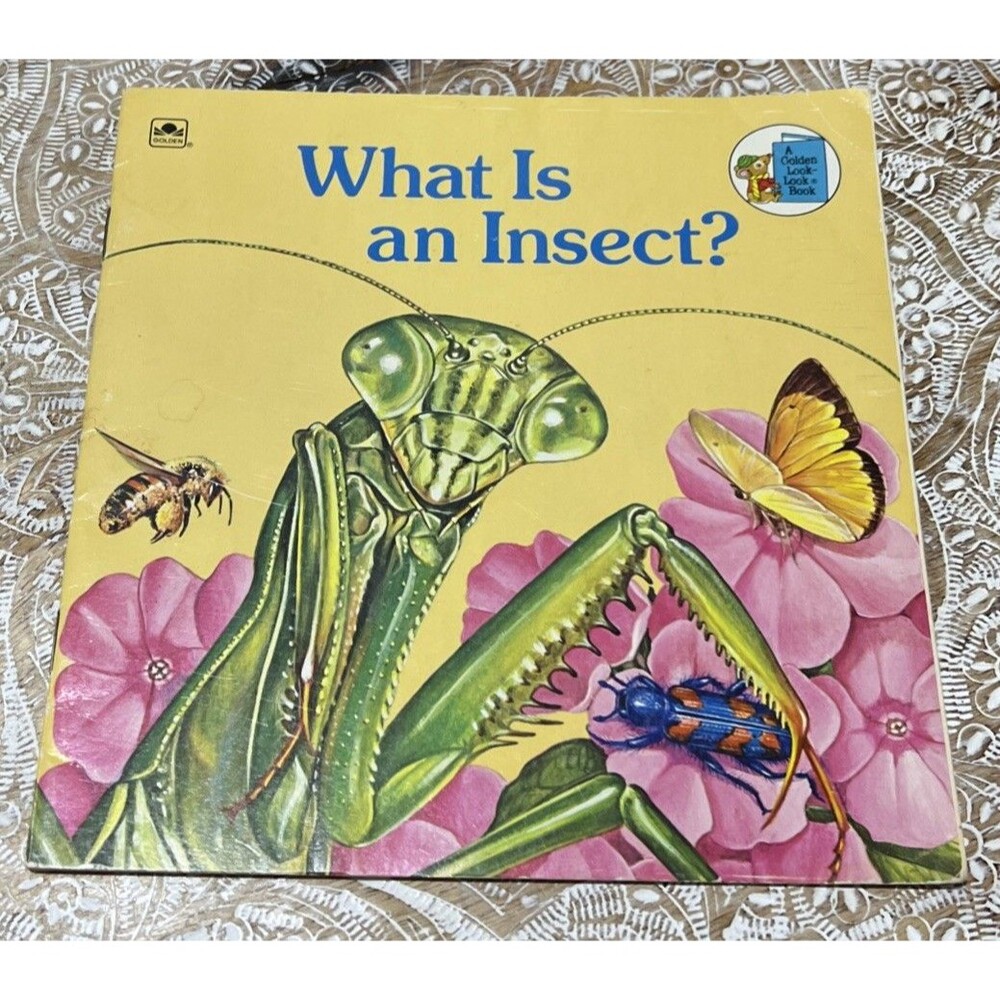 Vintage 1975 What Is An Insect? Educational Learning A Golden Look Book